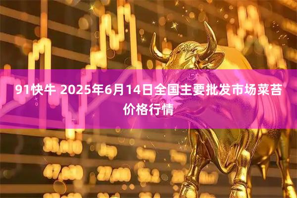 91快牛 2025年6月14日全国主要批发市场菜苔价格行情