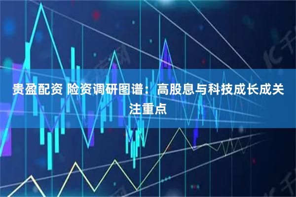 贵盈配资 险资调研图谱：高股息与科技成长成关注重点